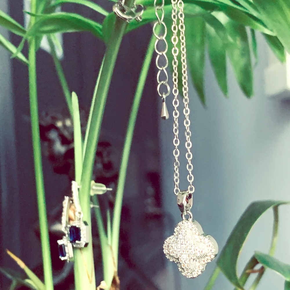 Beautiful necklace and earring set.
